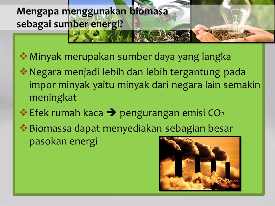 En que consiste la biomasa